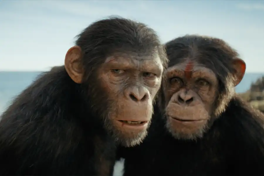 estrenos-mayo-2024-cines-peliculas