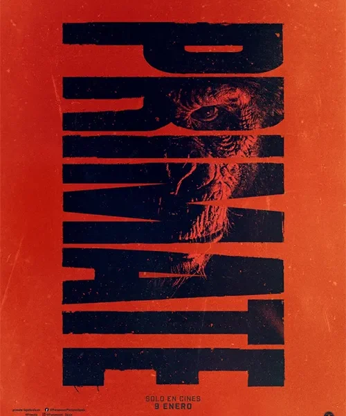 Primate