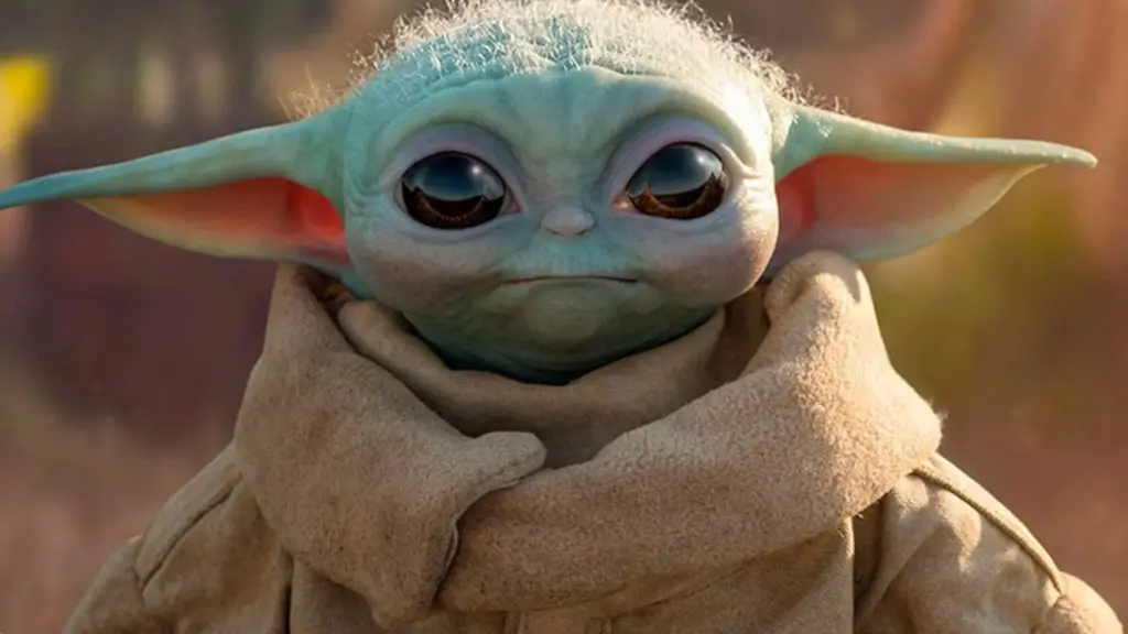 Grogu / The Mandalorian