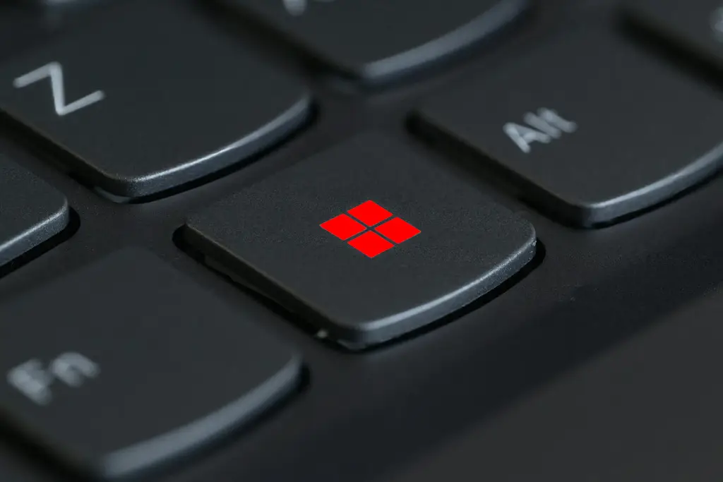 Windows 11